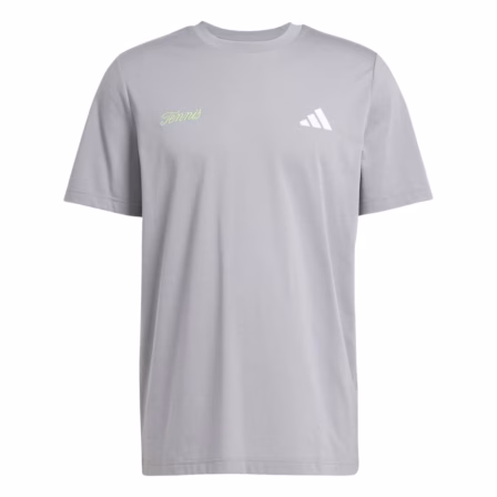 Adidas Graphic T-shirt Grey Three