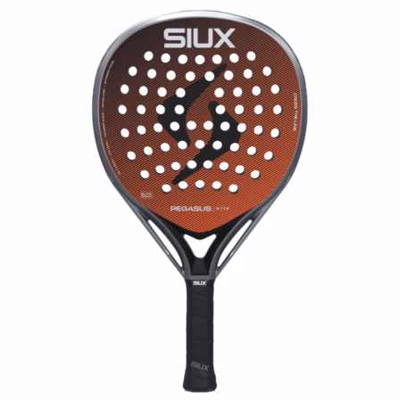 Siux Pegasus Elite 4 2026