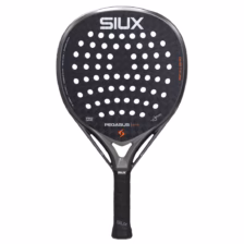 Siux Pegasus Pro 2026