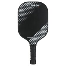 Forza Furious 1000 V2